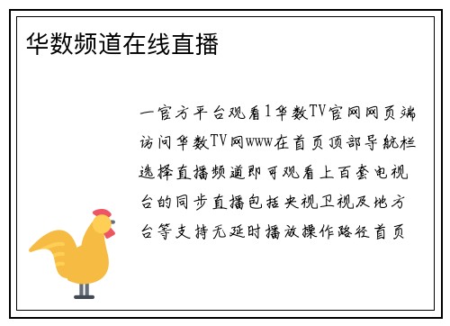 华数频道在线直播